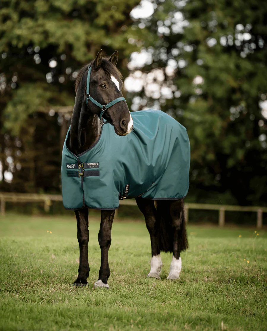 Dynasty Green/Navy and Silver