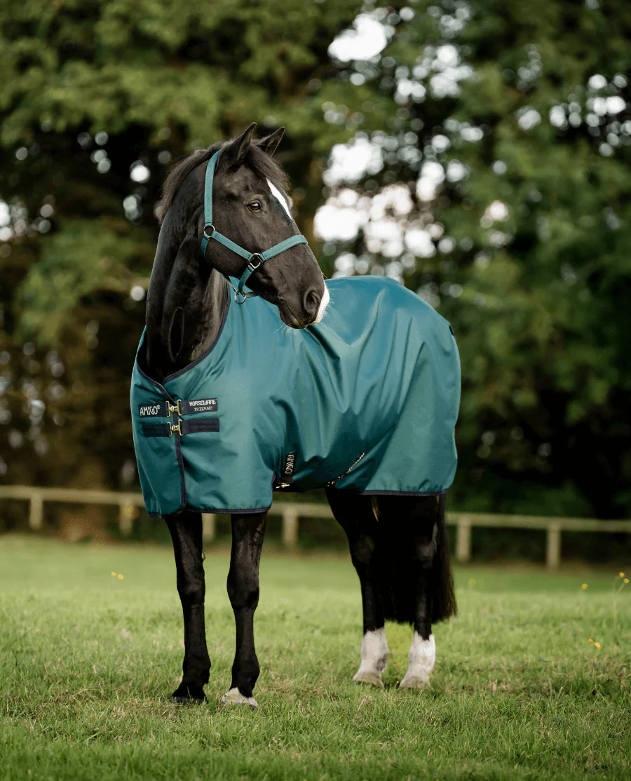 Dynasty Green/Navy and Silver