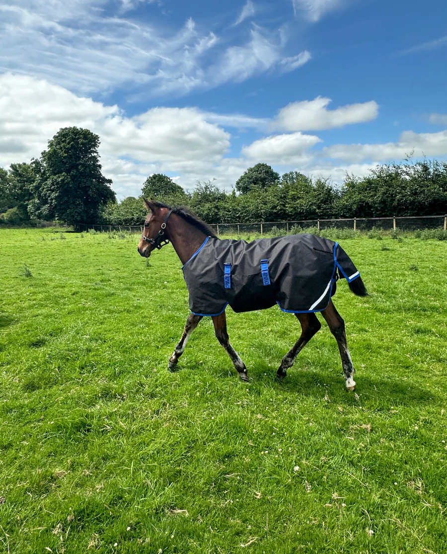 Horseware Amigo Ripstop 900D Foal Turnout 200G