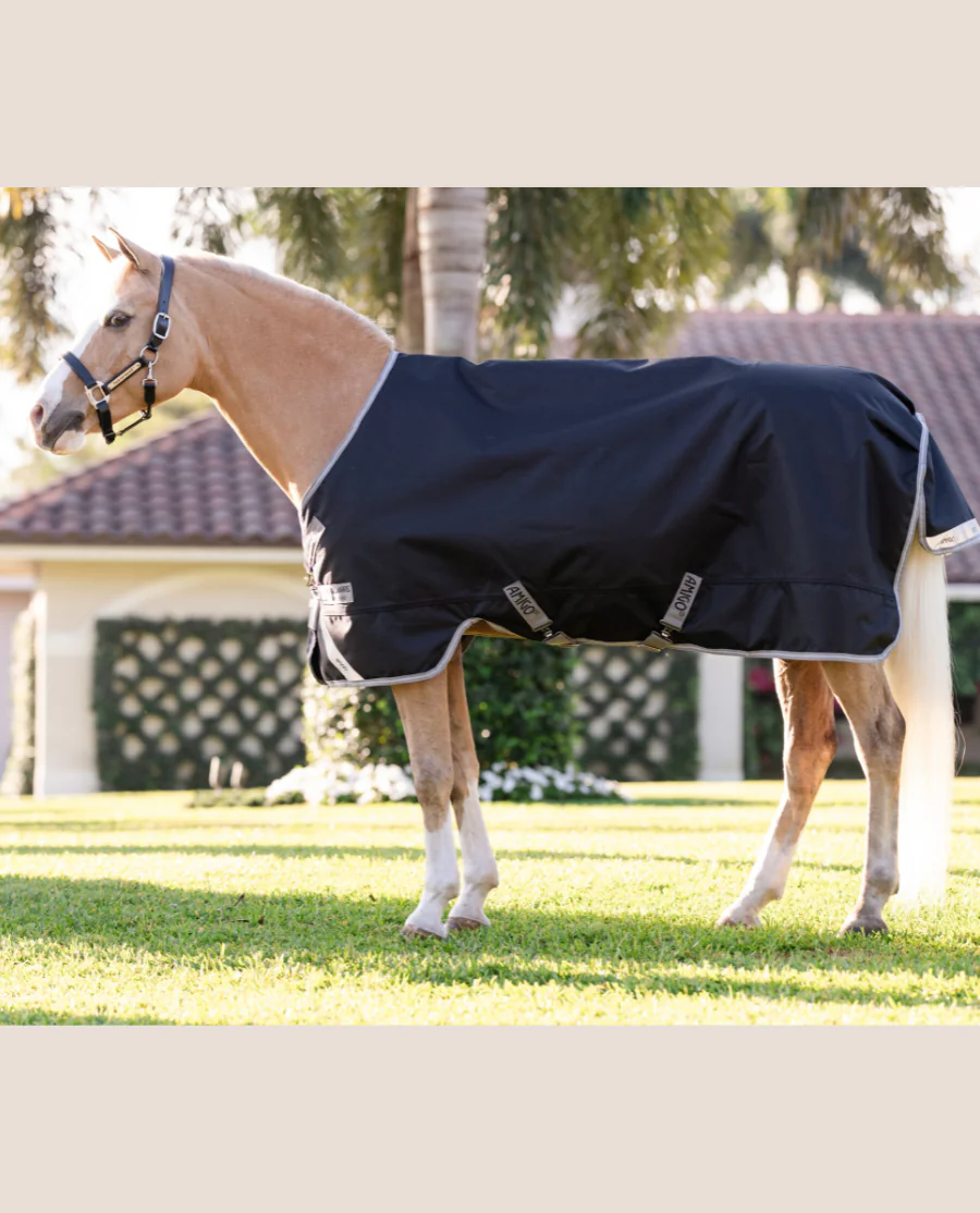 Black/Titanium Grey and Silver