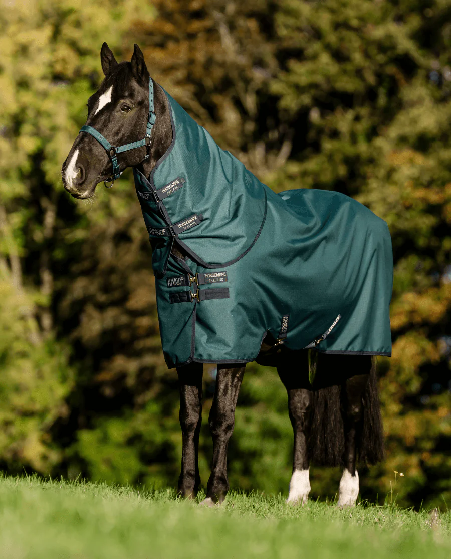 Dynasty Green/Navy and Silver