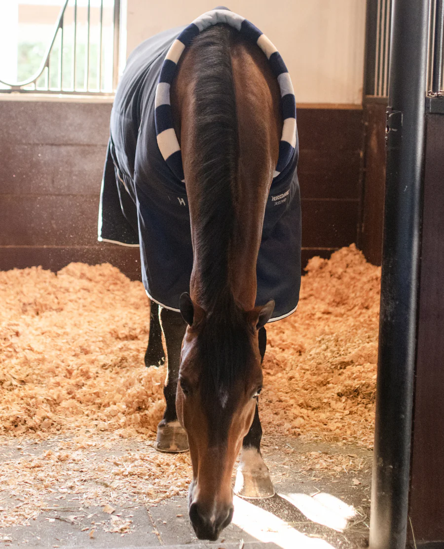 Horseware Newmarket Cosy Stable 200G