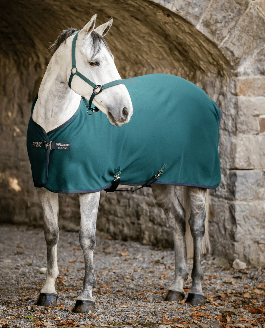 Dynasty Green/Navy and Silver