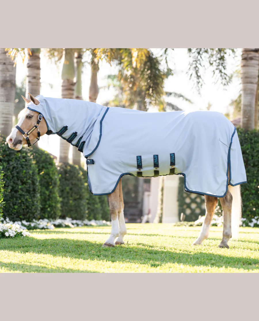 Azure Blue/Navy and Electric Blue