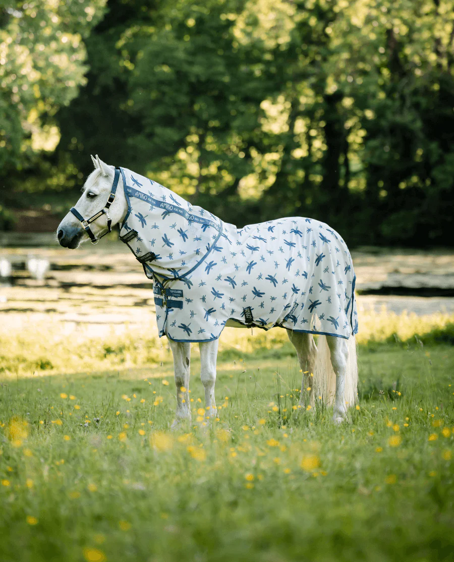  Dragonfly Print/Silver, Blue and Sage