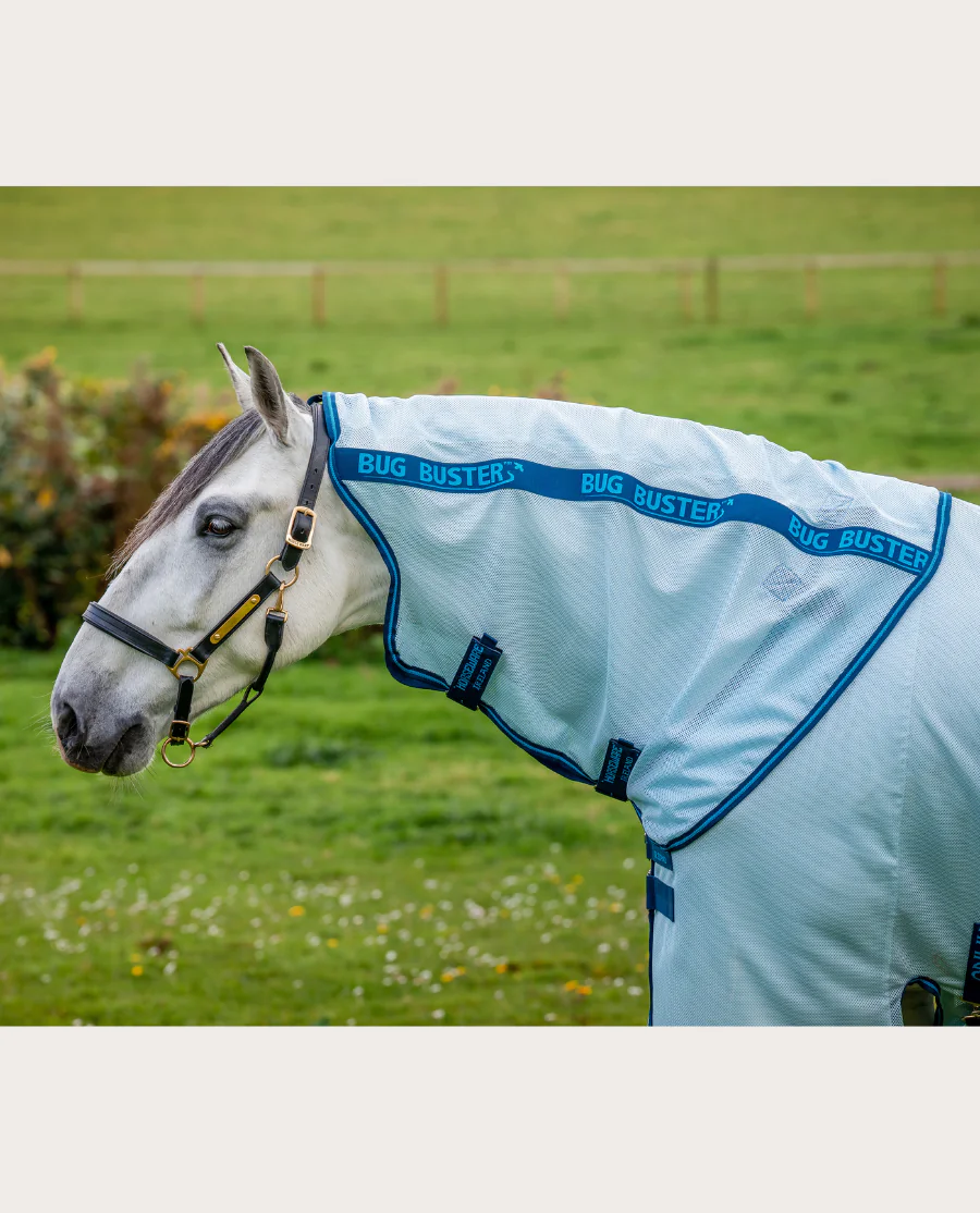 Azure Blue/Navy and Electric Blue