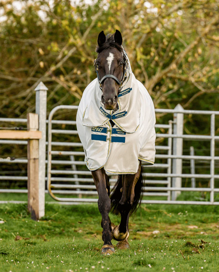 Lunar Rock/Navy, Lime
