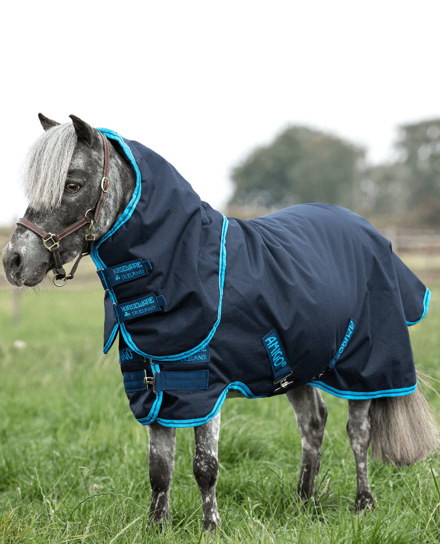 Navy/Elec Blue and Navy