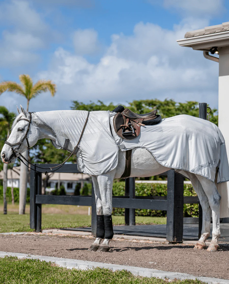 Silver/Titanium Grey and Silver