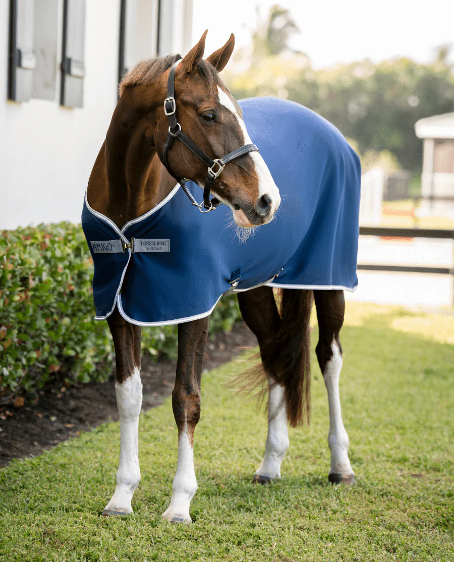 Navy/Titanium Grey and Silver