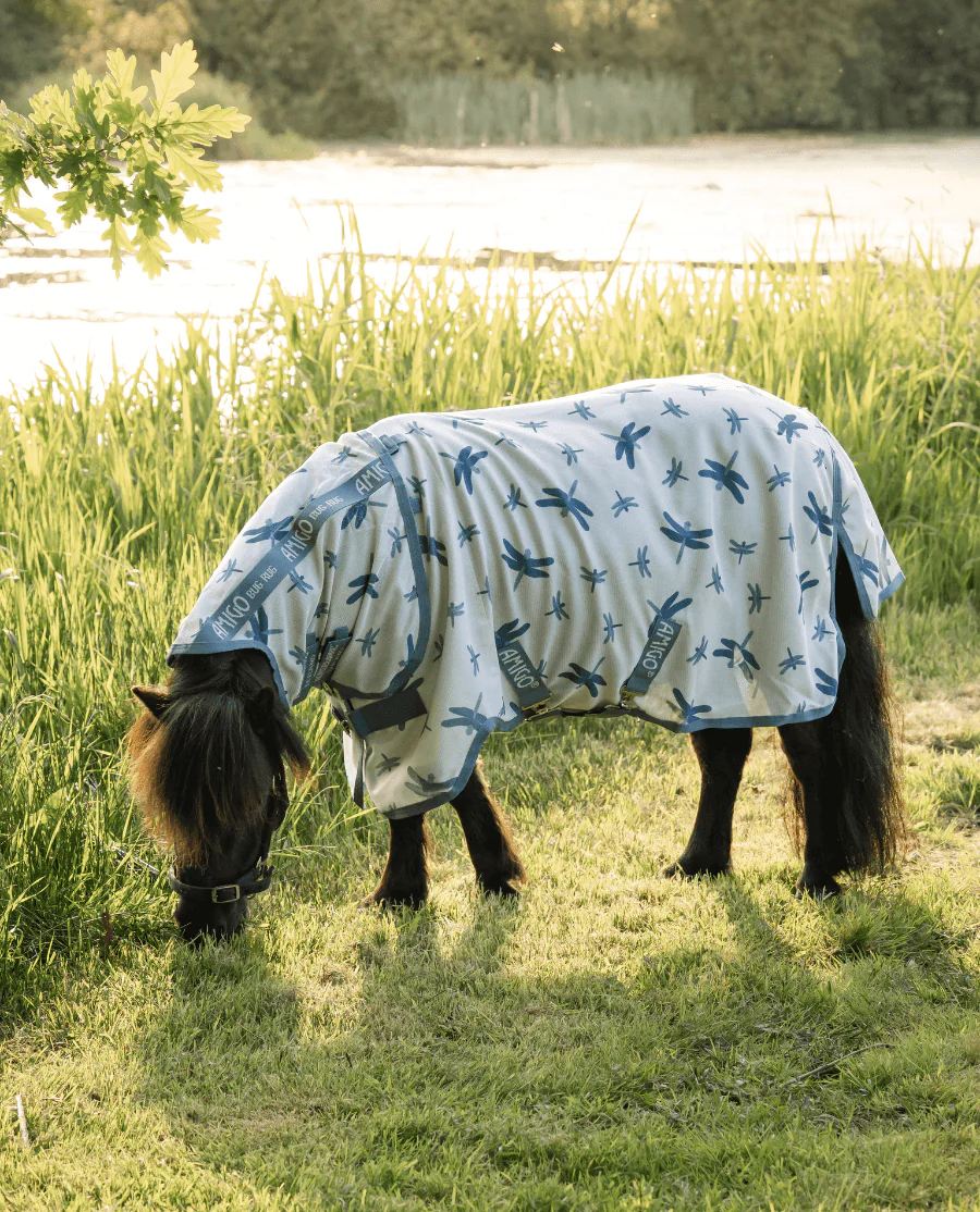 Dragonfly Print/Silver, Blue & Sage