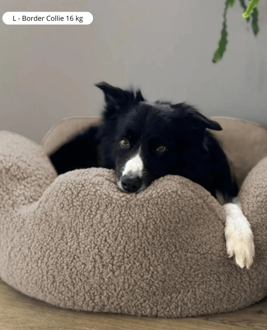 Barkly Flower Bed Hundekurv