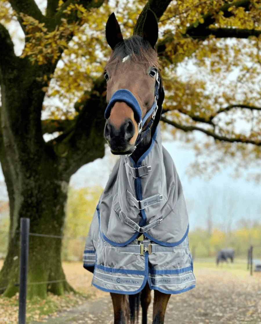 Cavalli Overgangsdækken med Aftagelig Hals 150G