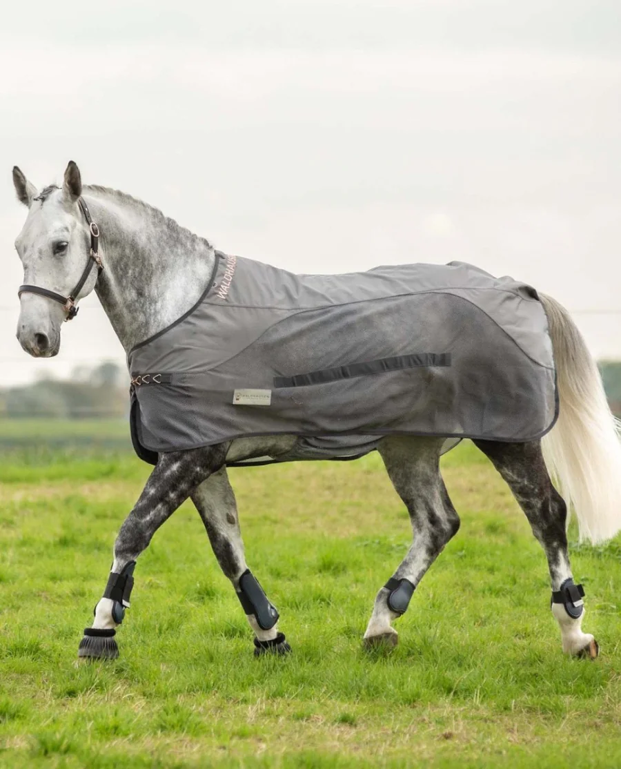 Waldhausen Comfort Regn- & Insektdækken m. maveklap 
