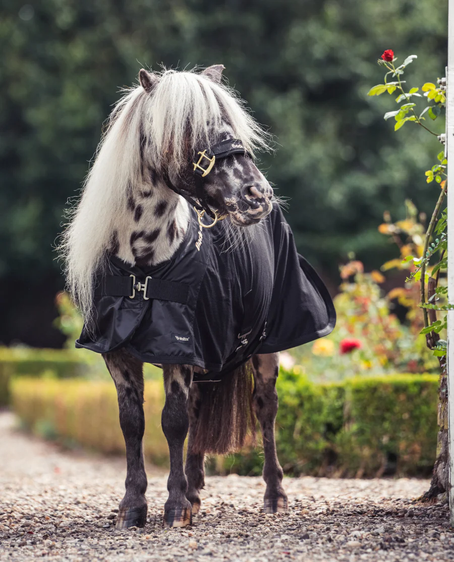 Royal Netdækken Deluxe Pony fra Back on Track