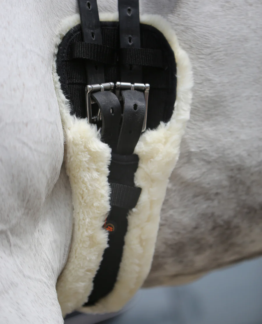 Kort Lammeskindsgjord fra Kentucky Horsewear-Black