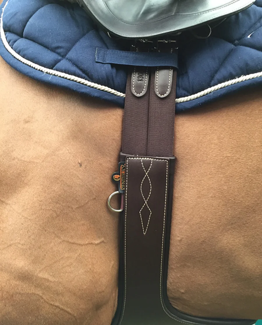 Pladegjord fra Kentucky Horsewear-Brown