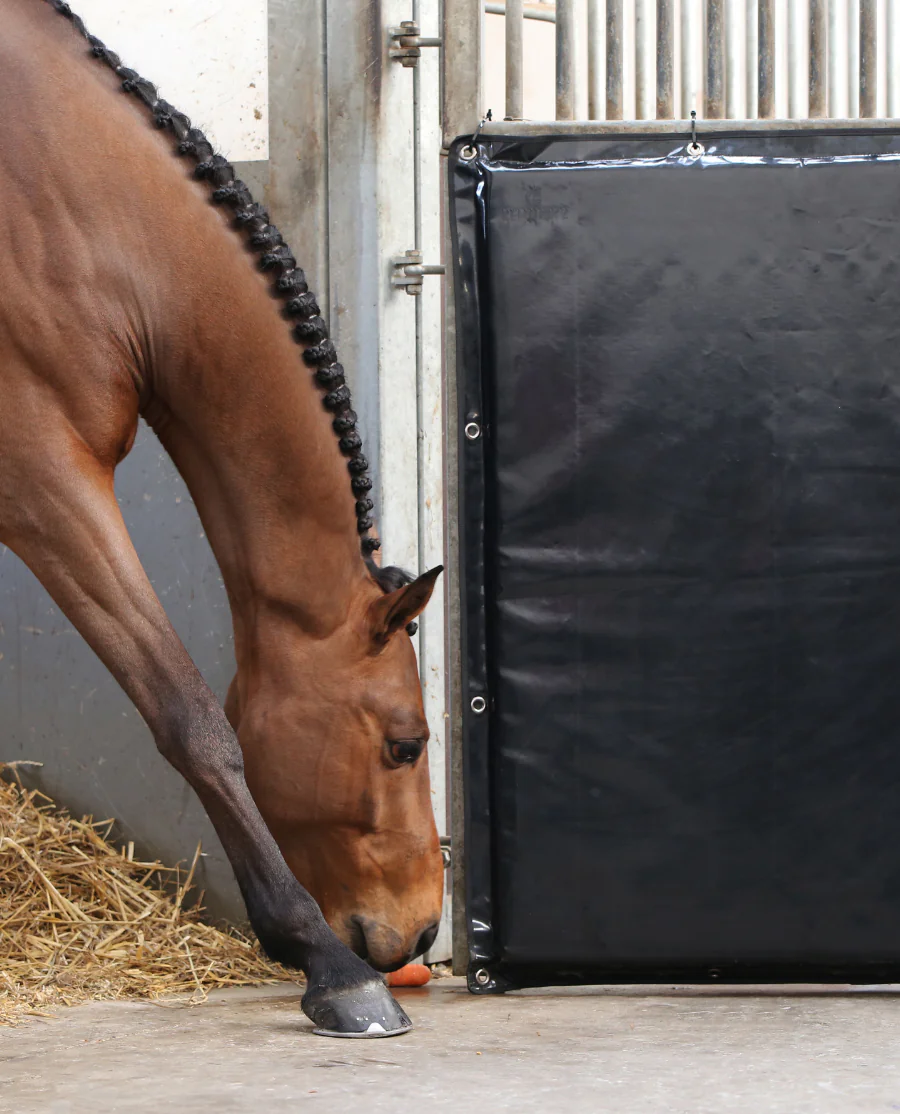 Sparkeplade fra Kentucky Horsewear