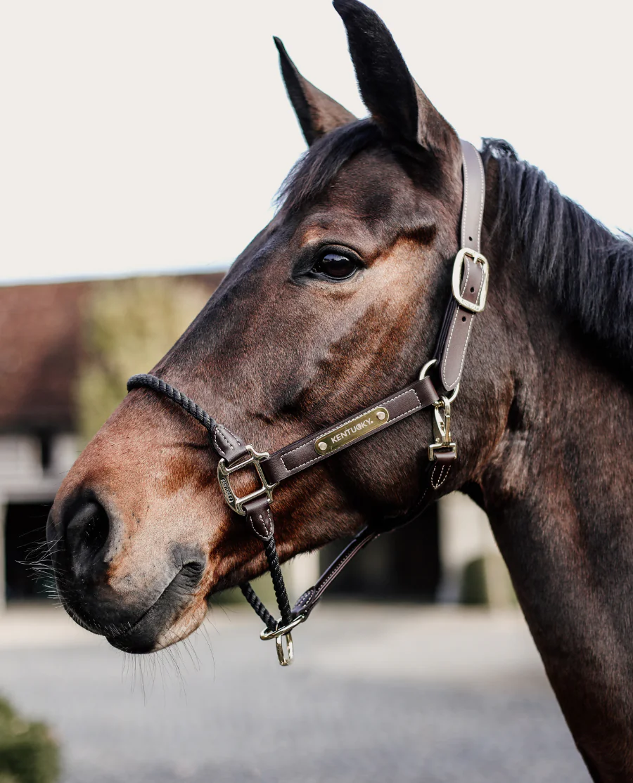 Lædergrime med Reb fra Kentucky Horsewear-Brown
