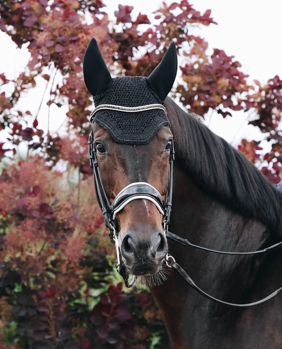 Hut Wellington Sparkling fra Kentucky Horsewear-Black