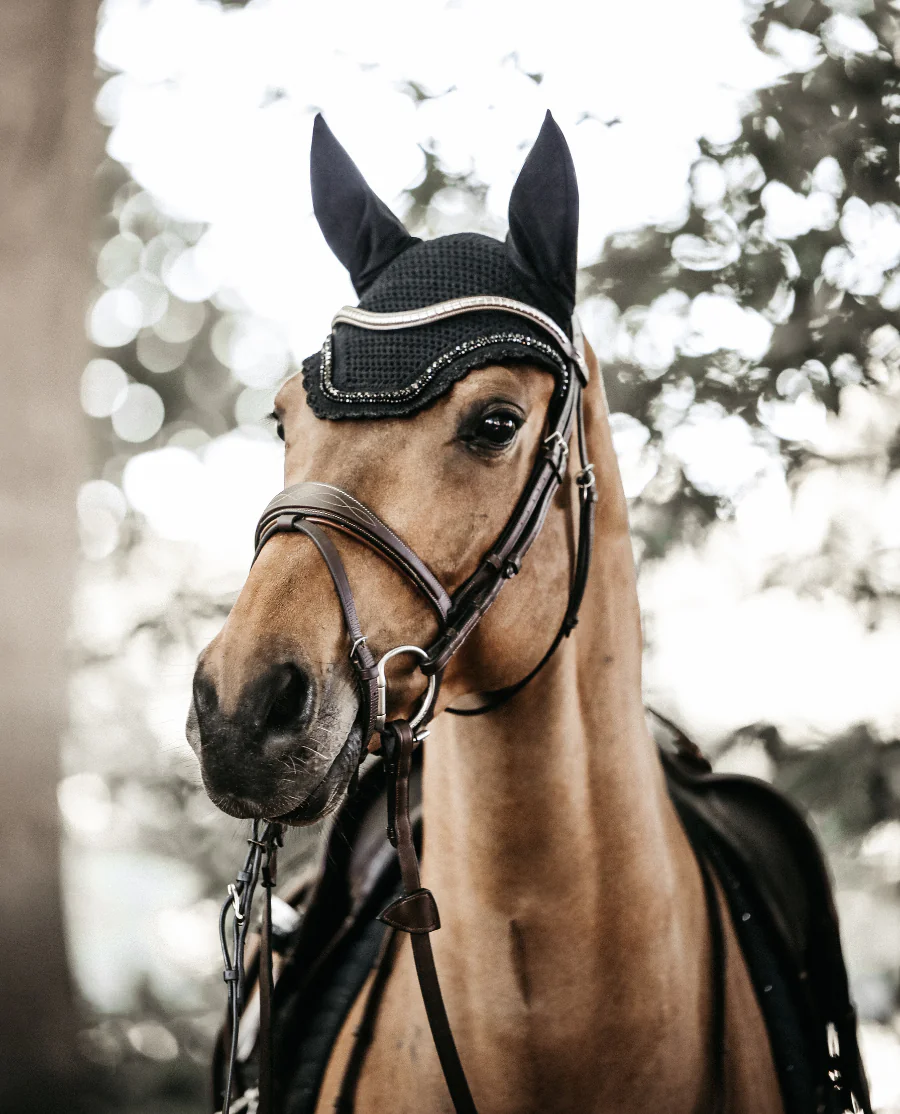 Hut Wellington Stone & Pearl fra Kentucky Horsewear-Black