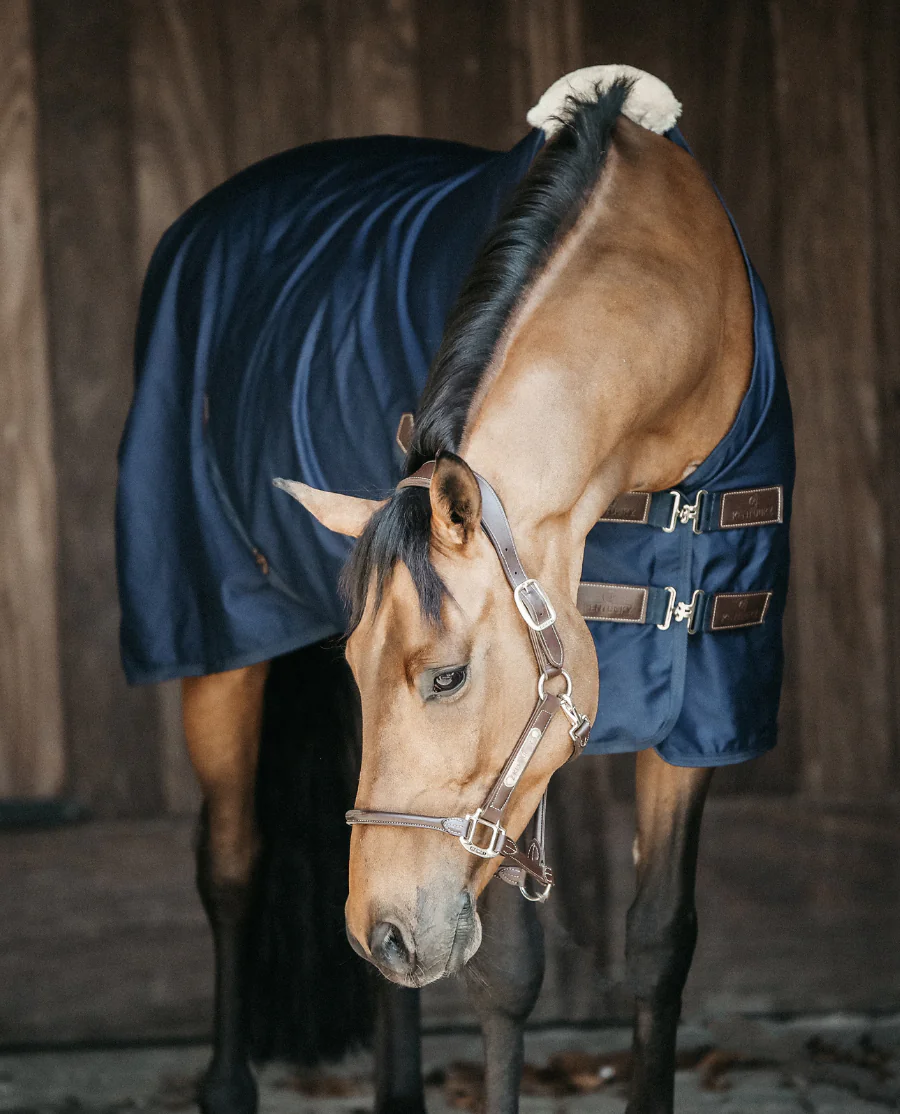 Cotton Sheet fra Kentucky Horsewear-Navy