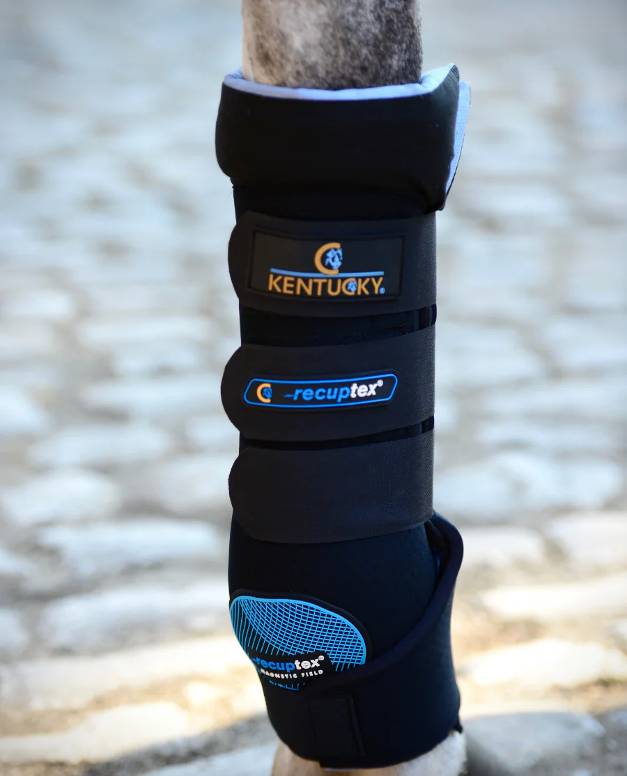 Magnetic Stable Boots Recuptex fra Kentucky Horsewear