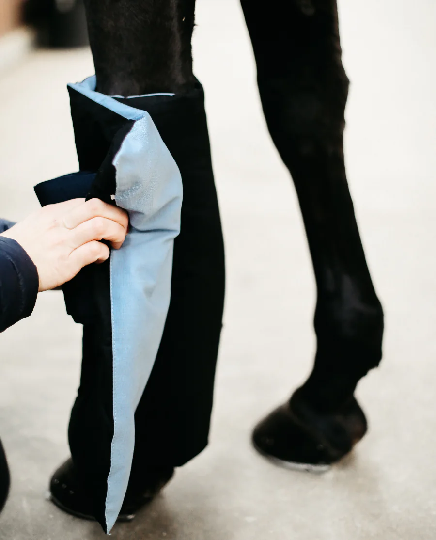 Magnetic Bandage Pad Recuptex fra Kentucky Horsewear