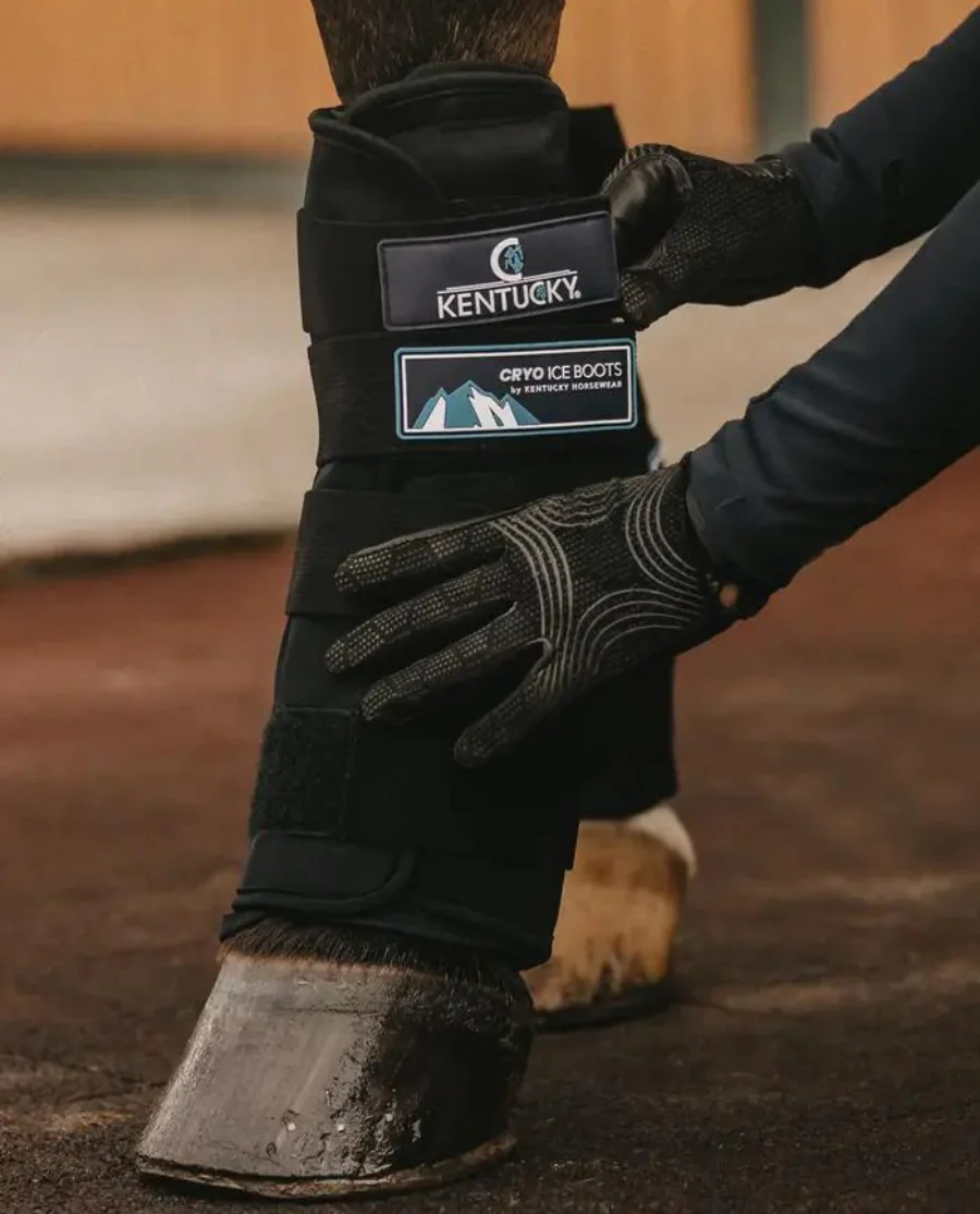 Cryo Ice Boots fra Kentucky Horsewear
