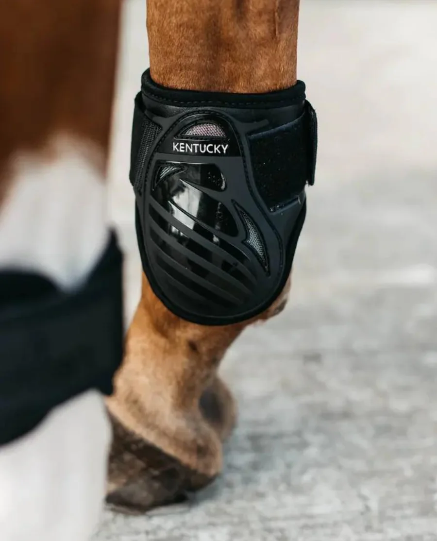 Young Horse Fetlock Boots fra Kentucky Horsewear-Black