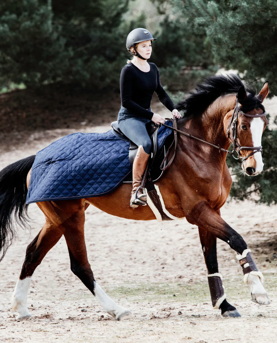 Skridtdækken fra Kentucky Horsewear-Navy