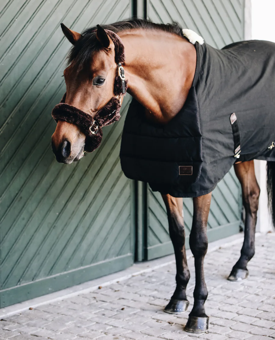 Horse BIB Summer fra Kentucky Horsewear-Black