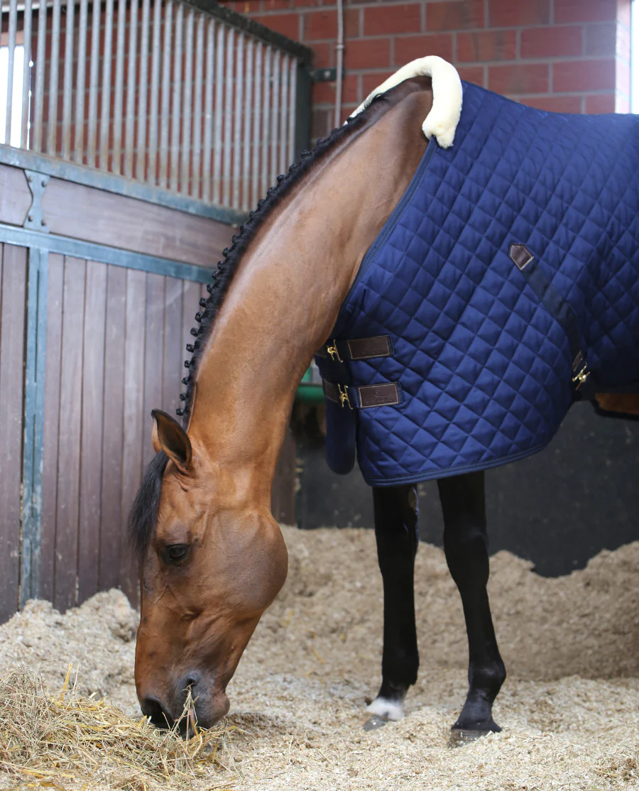 Stable Rug 200G fra Kentucky Horsewear-Navy