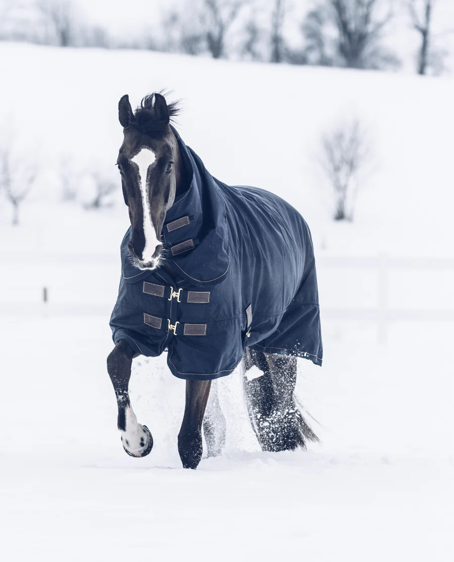 Turnout Rug All Weather Waterproof Pro 300G fra Kentucky Horsewear-Navy