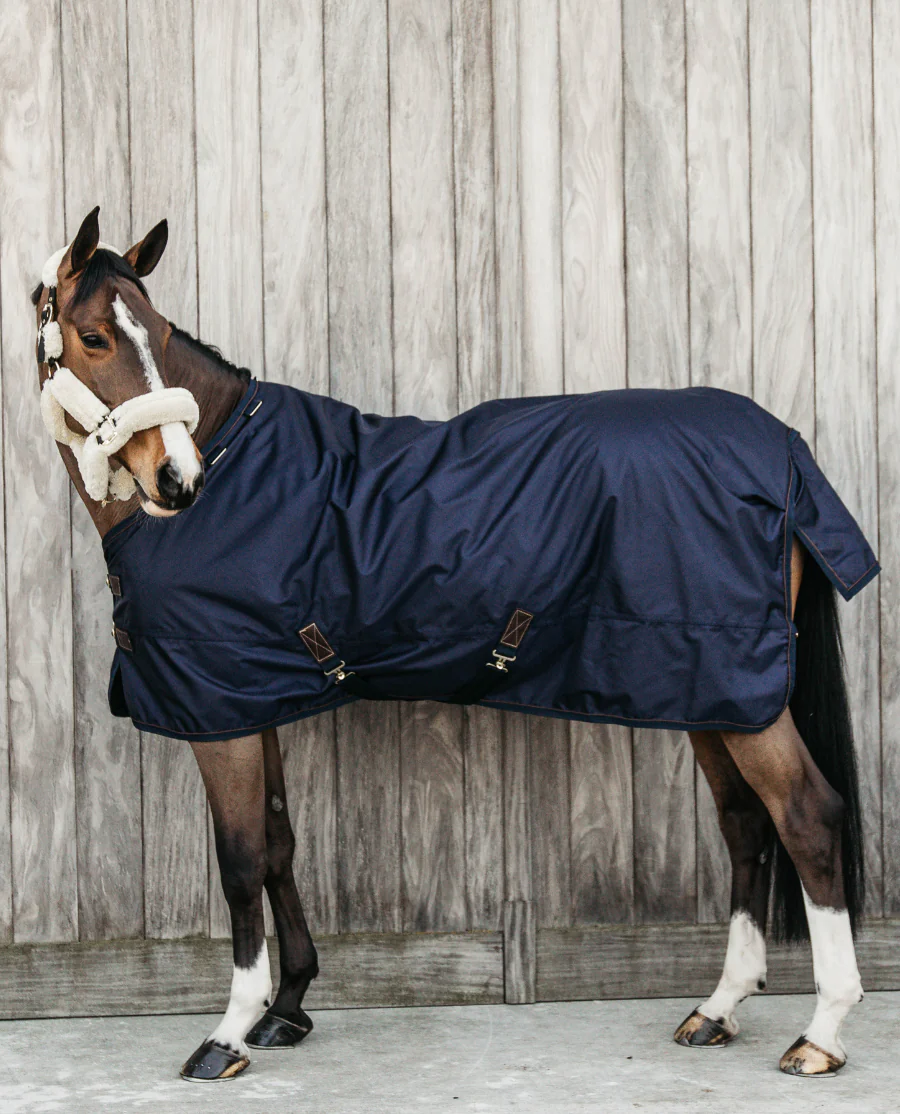 Turnout Rug All Weather Waterproof Pro 160G fra Kentucky Horsewear-Navy