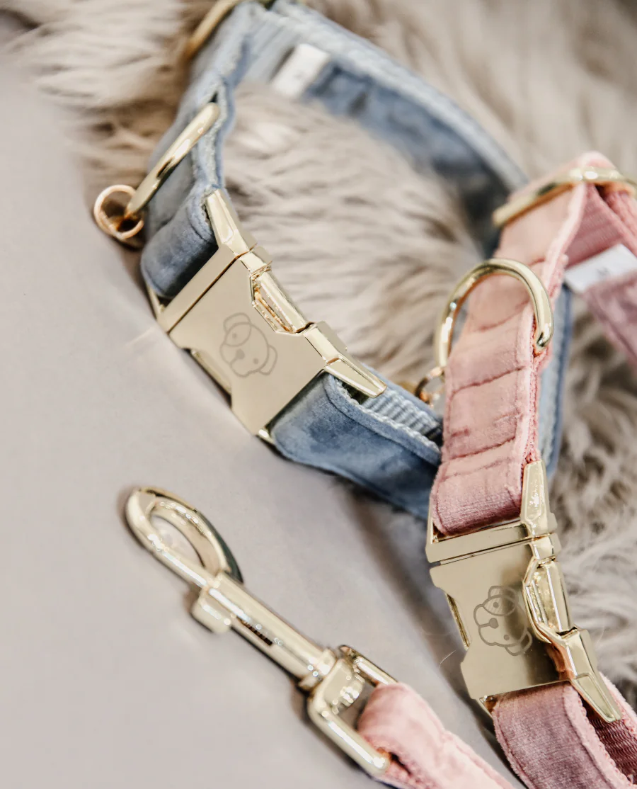 Hundehalsbånd fra Kentucky - Light blue, Old rose