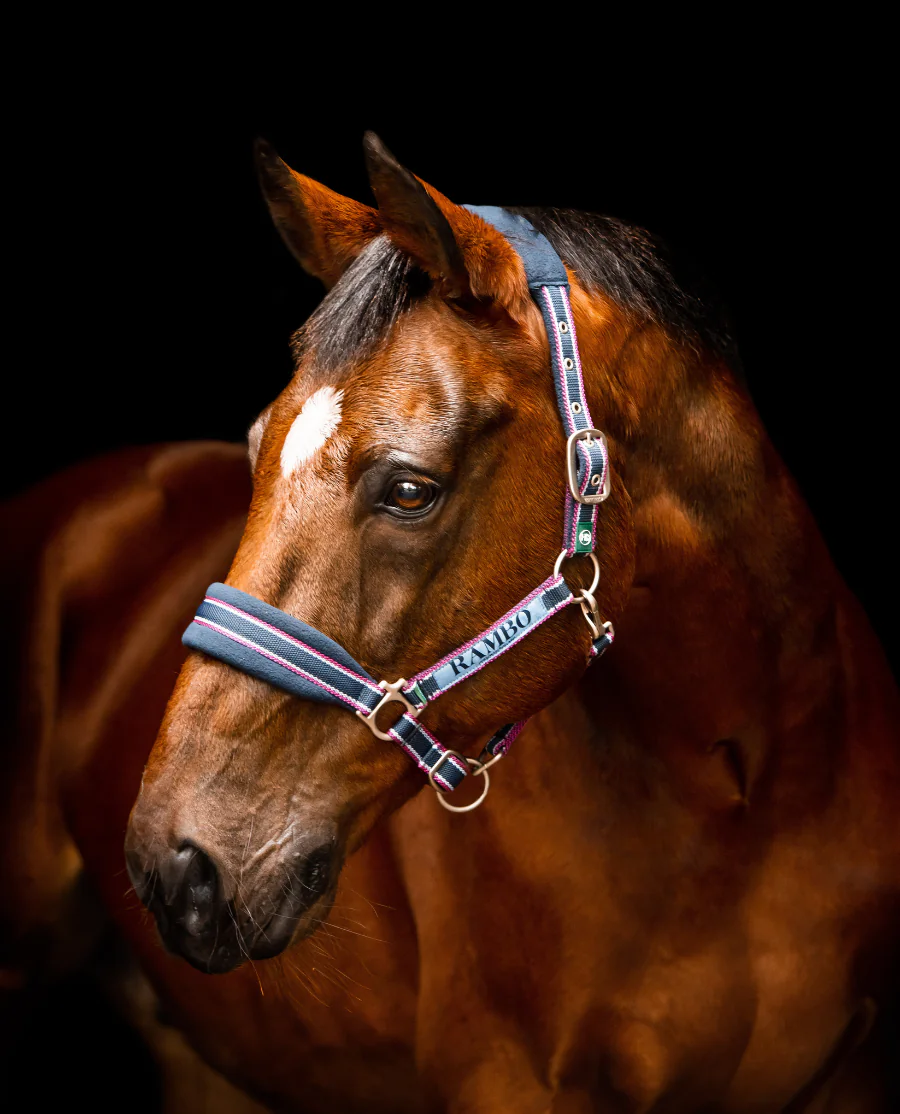 Rambo Grime fra Horseware