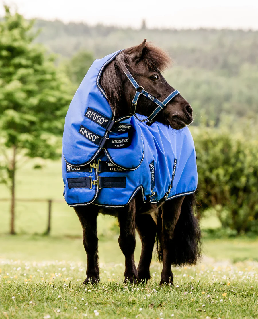 Amigo Hero Ripstop Petite Plus Lite / 0G fra Horseware - Blue/Navy and Grey