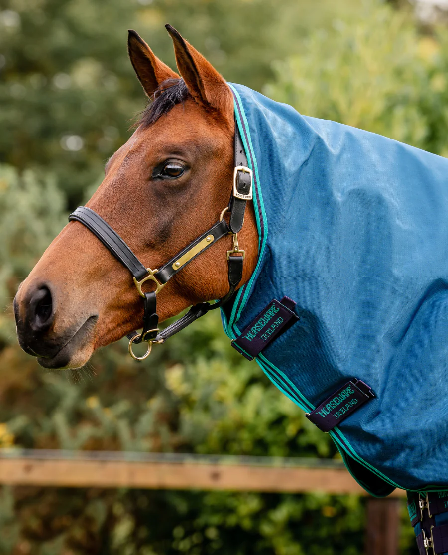 Rhino Turnout Hood/0g fra Horseware - Navy/Aqua, Grey