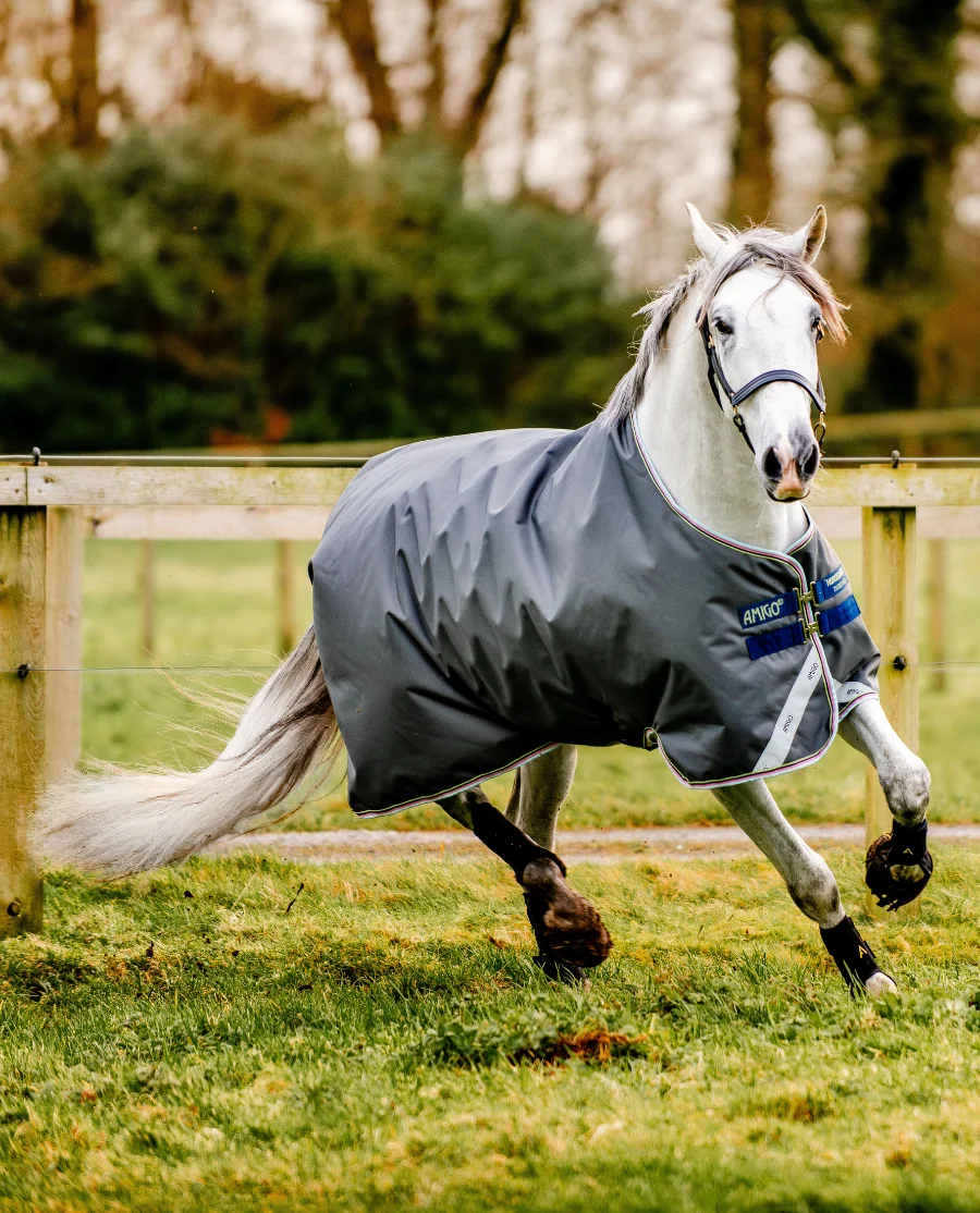 Amigo Bravo 12 Turnout/ 100G fra Horseware - Shadow/Navy and Lime