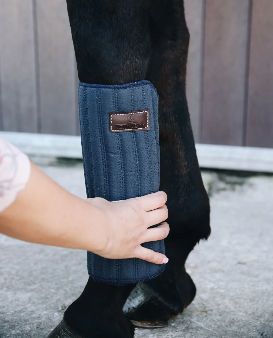 Bandageunderlag Absorb fra Kentucky Horsewear-Navy