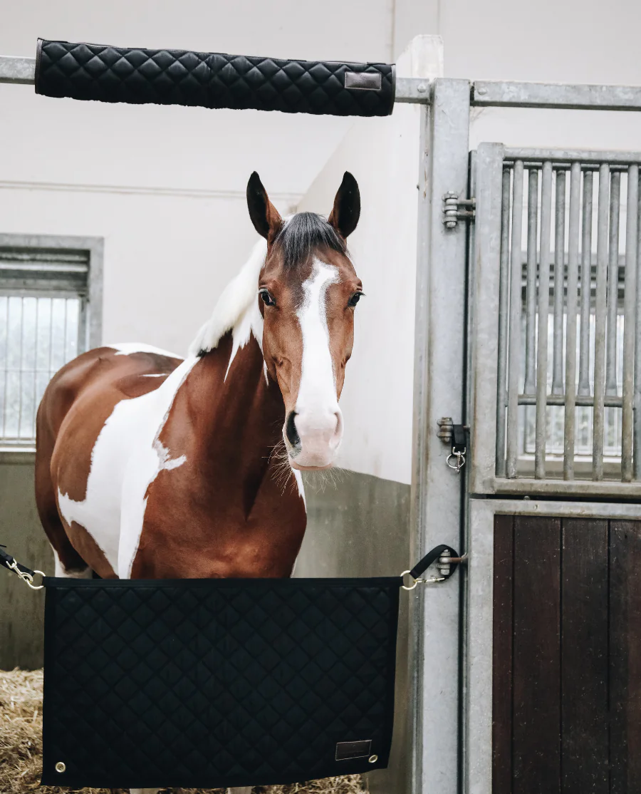 Hovedbeskytter til Boks fra Kentucky Horsewear-Black