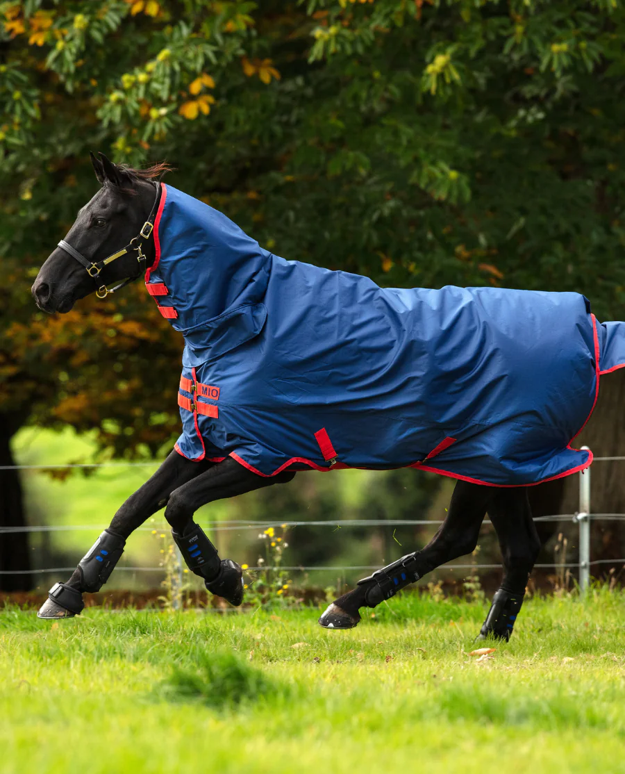Mio All-In-One Lite/0g fra Horseware - Dark Blue/Dark Blue and Red