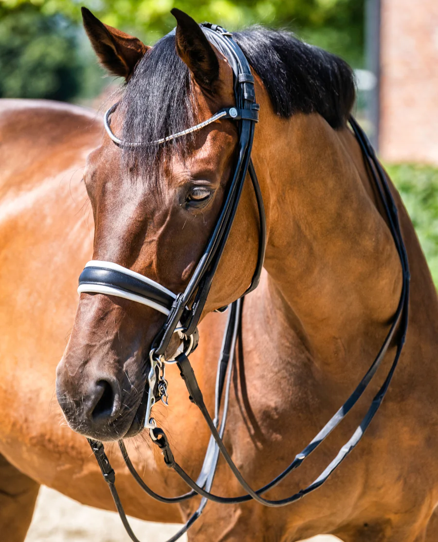 Finesse Kandar Cassidy Sort/Hvid/Sølv