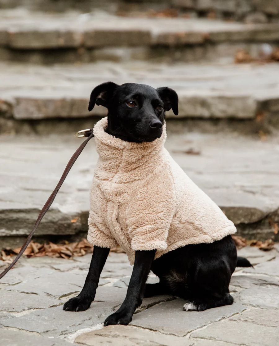 Teddy Fleece Hundetrøje fra Kentucky-Beige