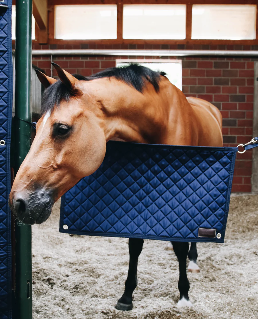 Stable Guard fra Kentucky Horsewear-Navy