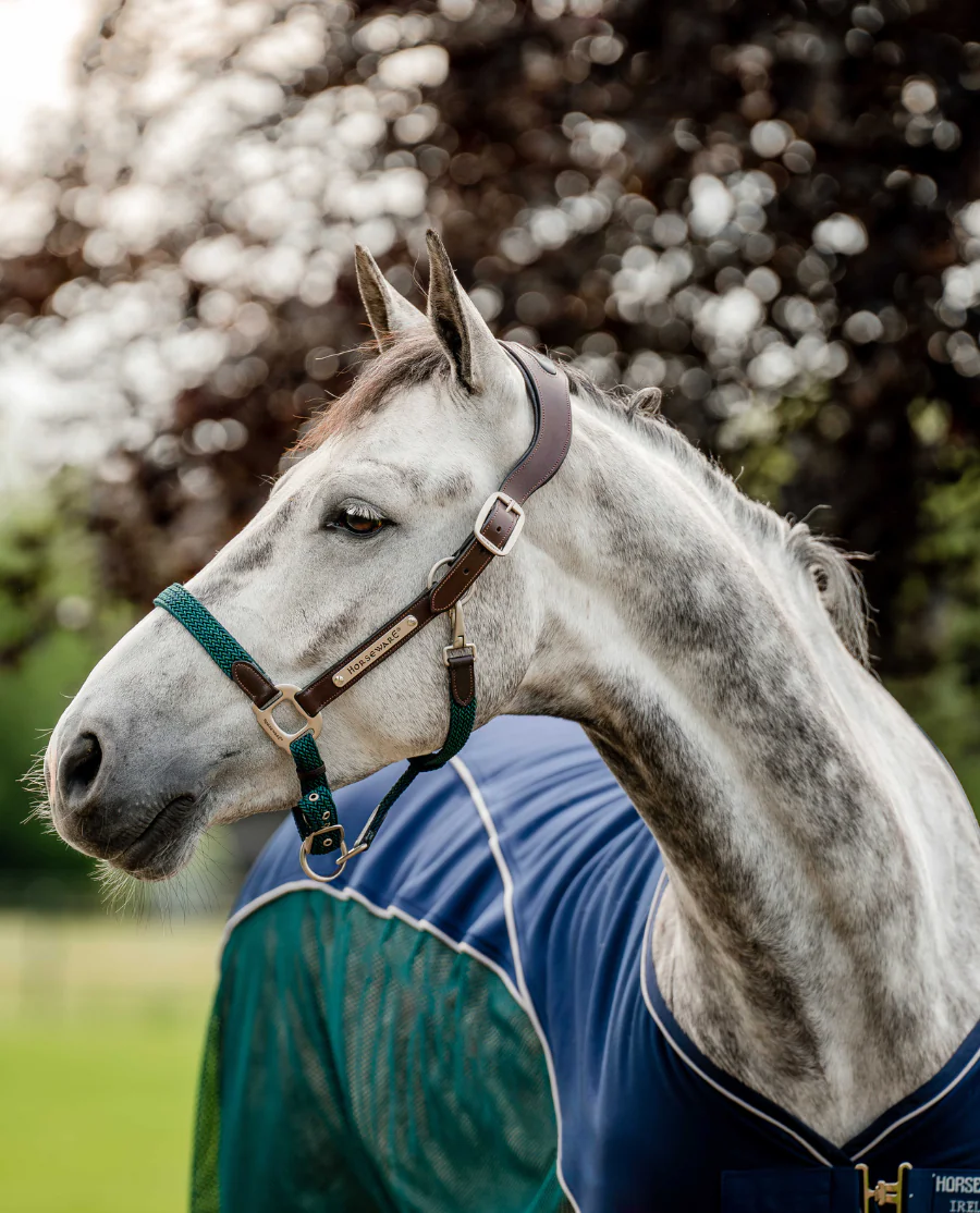  Brown/Navy and Hunter Green