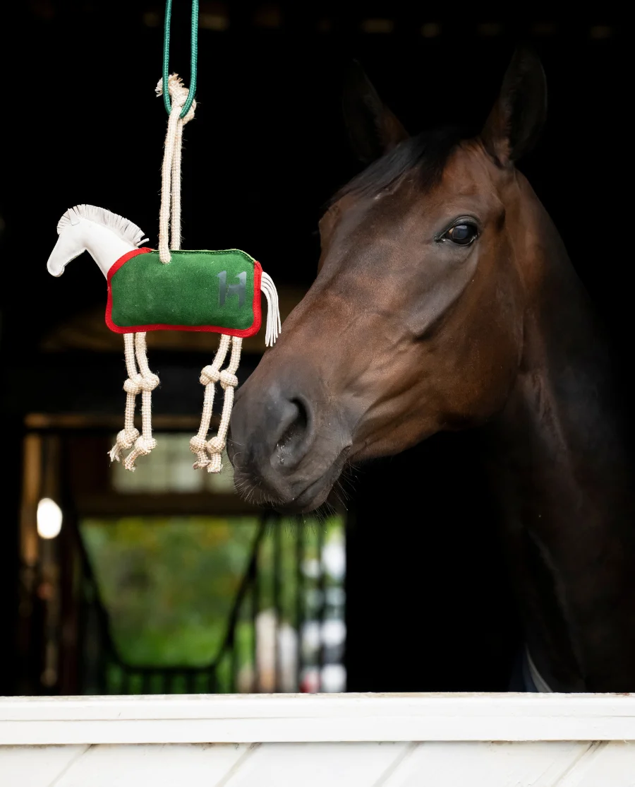 Horseware staldlegetøj