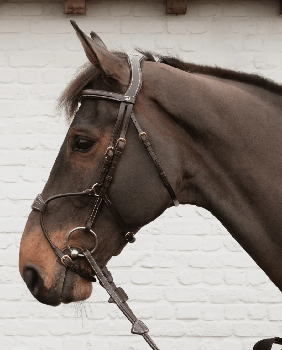 Trense Hybrid D Collection fra Dy'on