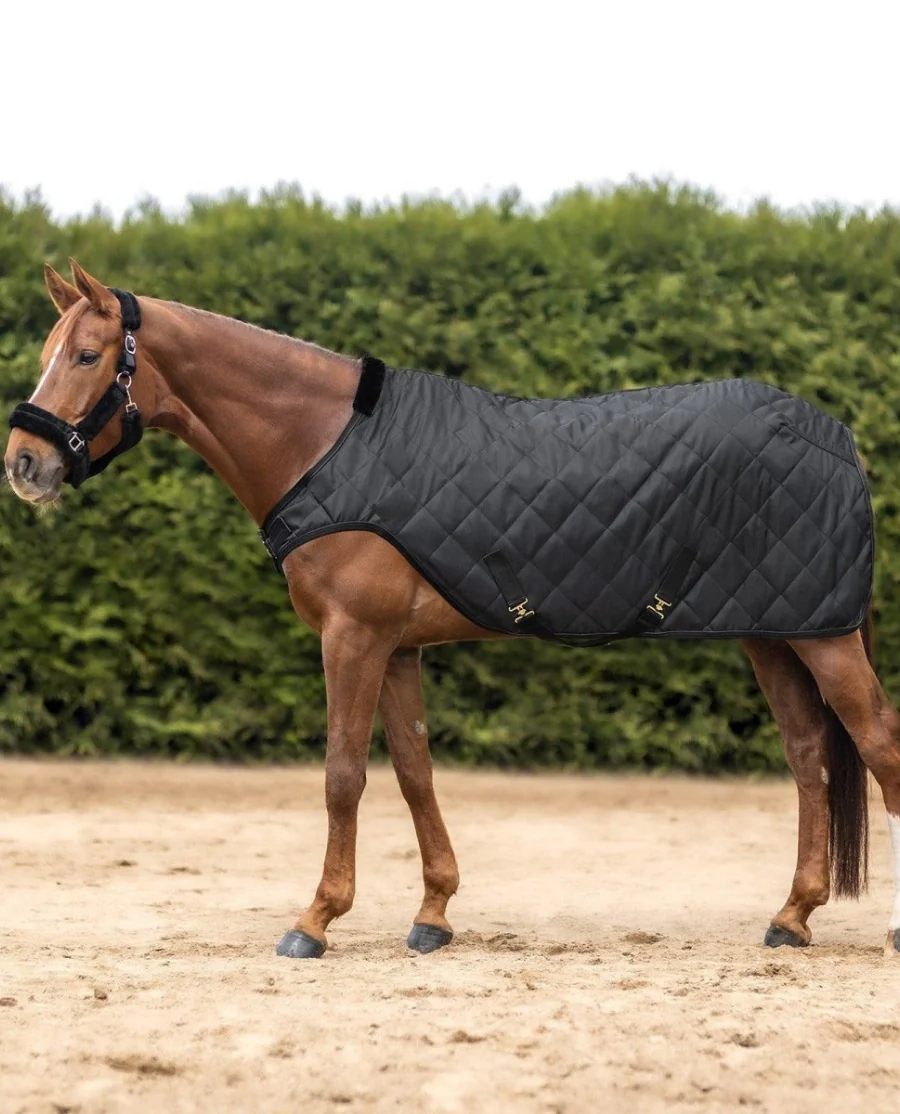 Waldhausen Exclusive Skridtdækken 50 g